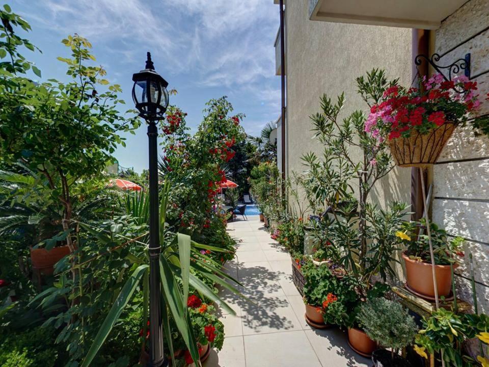 Family Hotel Gogov سينيموريتس المظهر الخارجي الصورة